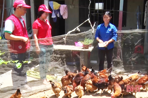 “Ngân hàng gà”  Chữ thập đỏ tạo sinh kế cho gia đình chính sách, hộ nghèo Nghi Xuân